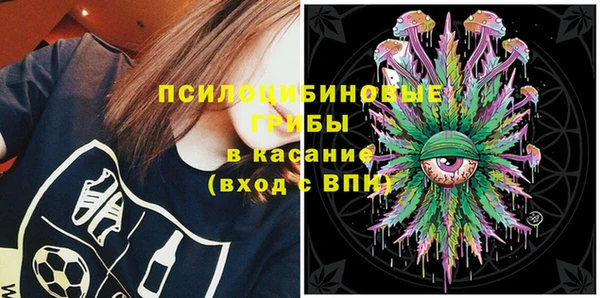 метадон Горнозаводск